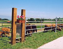 Clôture de bétail